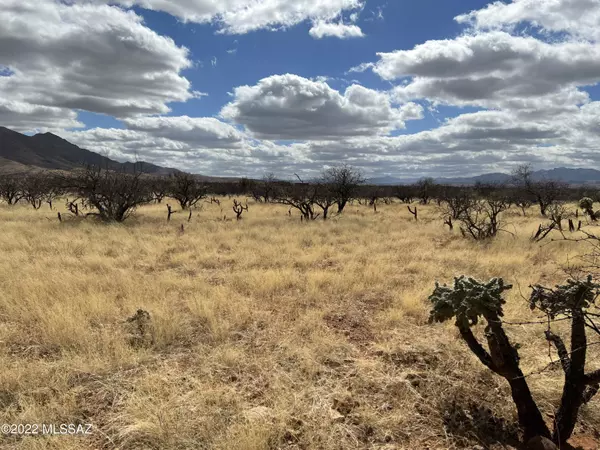 Tubac, AZ 85646,TBD Camino Nacozari/ Camino Talave  #39