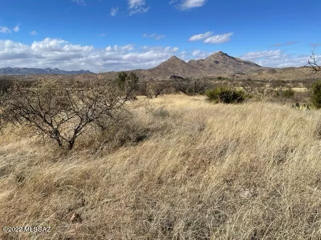 Rio Rico, AZ 85648,1121 Hebilla Ct.  #66