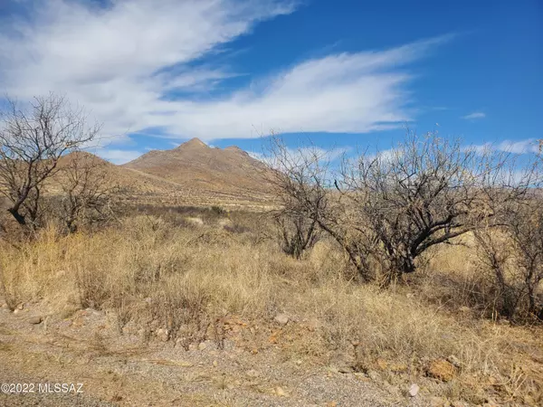 Rio Rico, AZ 85648,104 Circulo Penjamo  #12