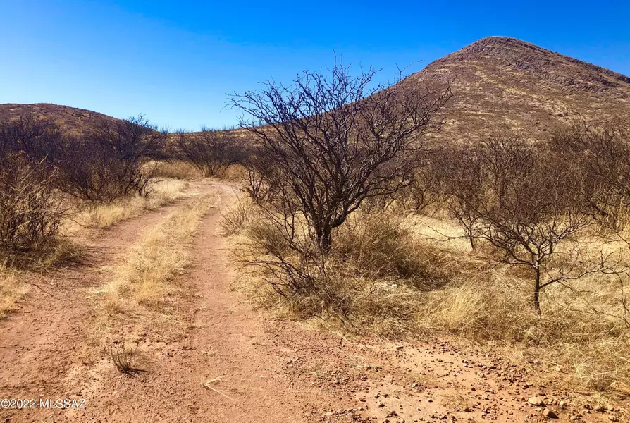 5.11 Ac near Rucker Canyon Road, Elfrida, AZ 85610