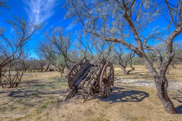 Tucson, AZ 85749,4390 N Soldier Trail