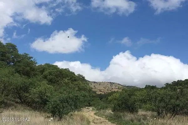 Sonoita, AZ 85637,TBD E Greaterville Road