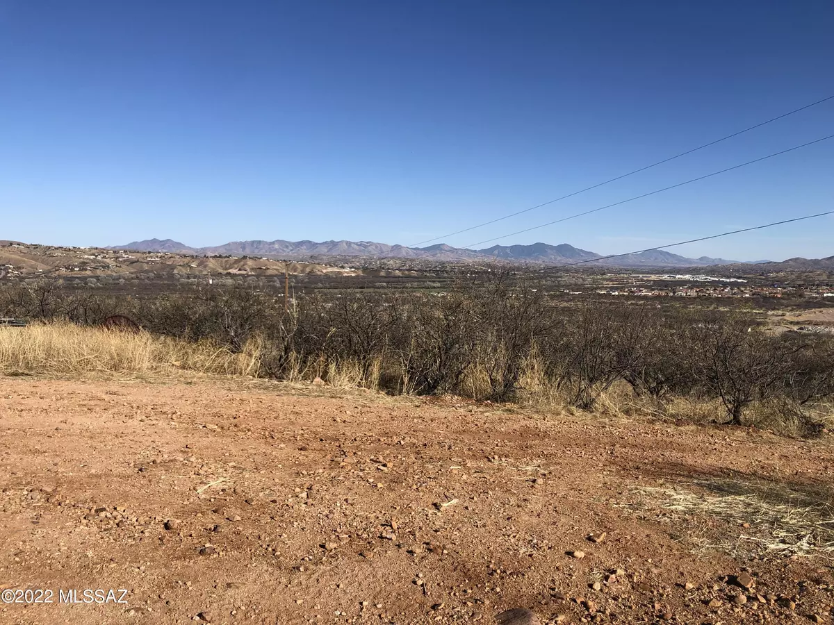 Rio Rico, AZ 85648,1237 Circulo Yerba Buena  #Lot 29