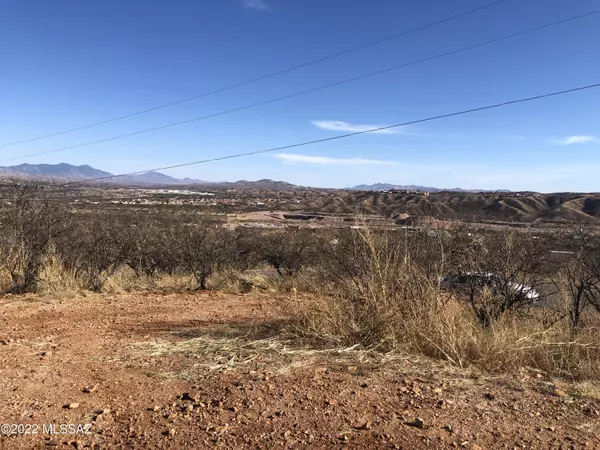 Rio Rico, AZ 85648,1237 Circulo Yerba Buena  #Lot 29