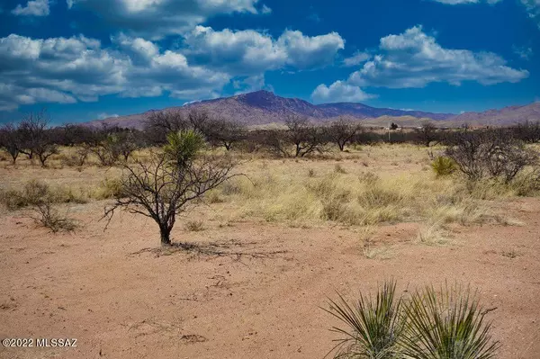 Benson, AZ 85602,TBD N. Youngs Drive PARCEL B