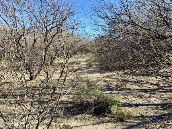 San Manuel, AZ 85631,99915 E Messina Road #0