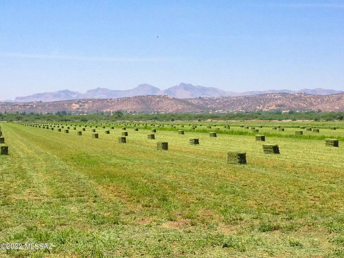 Rio Rico, AZ 85648,Dos Arbolitos Ranch