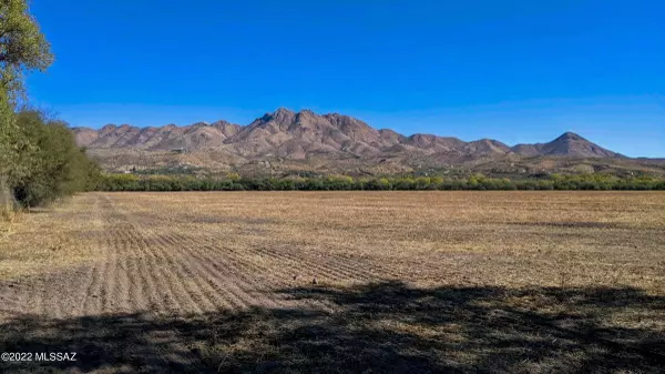 Rio Rico, AZ 85648,Dos Arbolitos Ranch