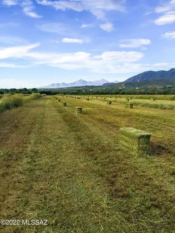 Rio Rico, AZ 85648,Dos Arbolitos Ranch