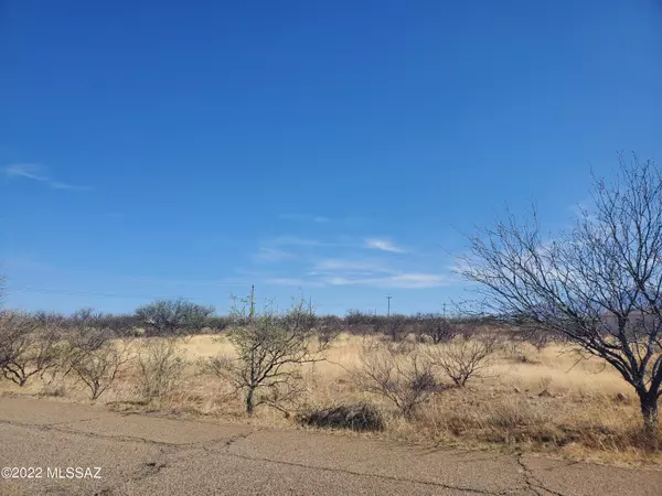 Rio Rico, AZ 85648,97 Camino Josefina  #1