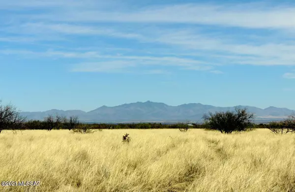 Cochise, AZ 85606,40 ACRE off Stronghold Road #-