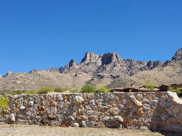 Oro Valley, AZ 85737,2399 E Della Roccia  #16