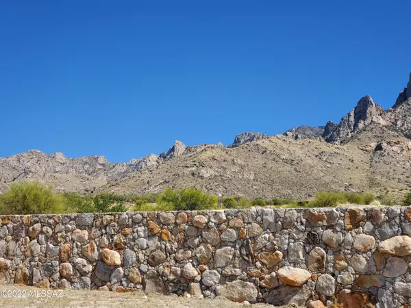 Oro Valley, AZ 85737,2379 E Della Roccia  #17