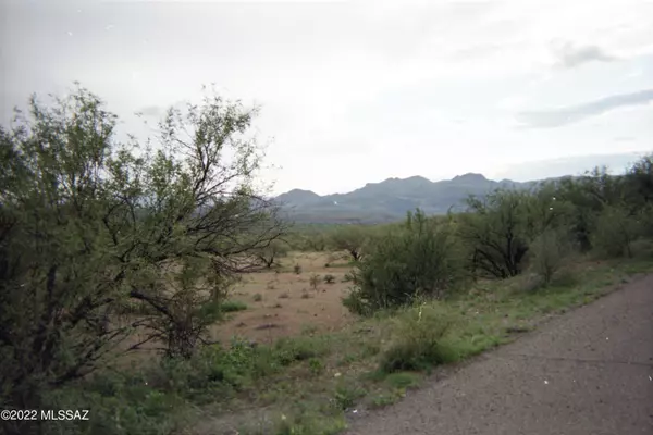 Rio Rico, AZ 85648,1780 Circulo Corona  #58