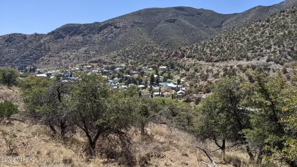 Bisbee, AZ 85603,TBD Adams Avenue #Multipl