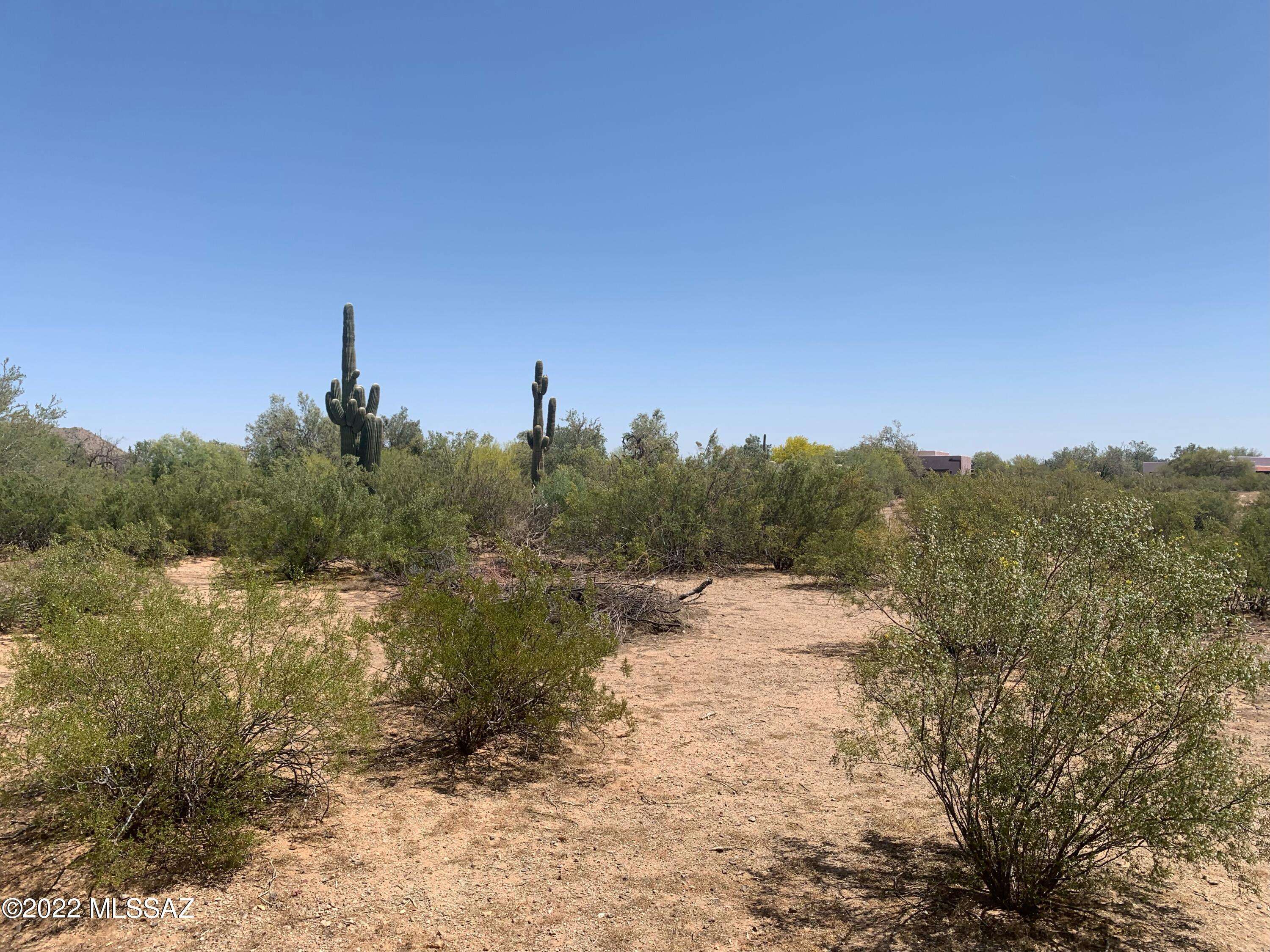 Marana, AZ 85653,N Longhorn Trail