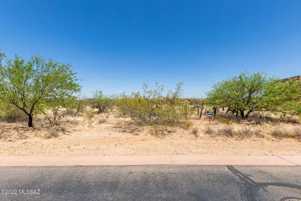 Sahuarita, AZ 85629,2467 E Old Stone House Trail #117