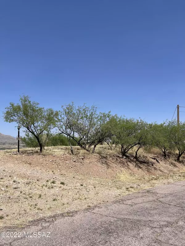 Rio Rico, AZ 85648,381 Via Papagayo  #137