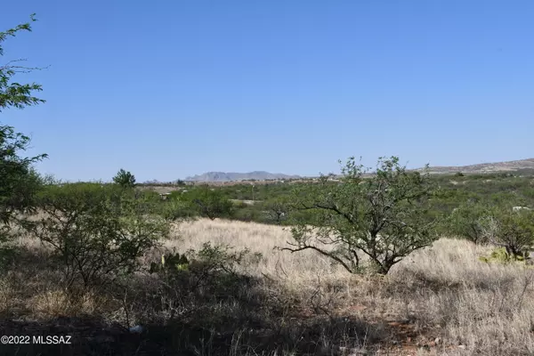 Arivaca, AZ 85601,16771 W Arivaca Road