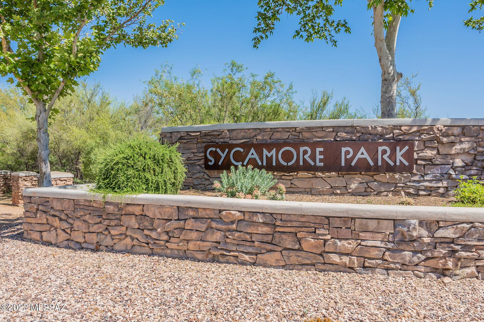 9224 S Big Tree Lane, Tucson, AZ 85756