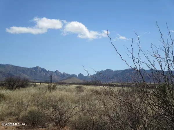 St. David, AZ 85630,40.45 ac N Hawks Nest Trail #100