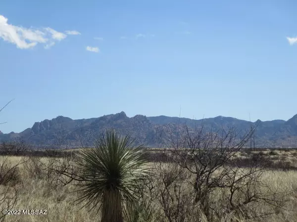 St. David, AZ 85630,40.45 ac N Hawks Nest Trail #100