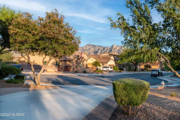 Oro Valley, AZ 85755,319 E Honey Bee Preserve Way