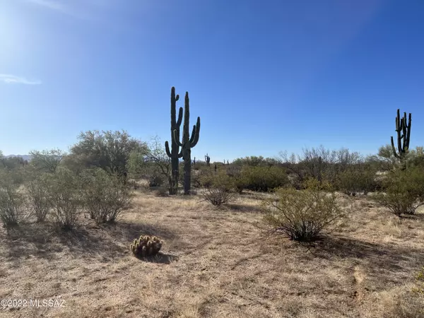 Marana, AZ 85658,0 S Desert Ranch Way Lot A  #-