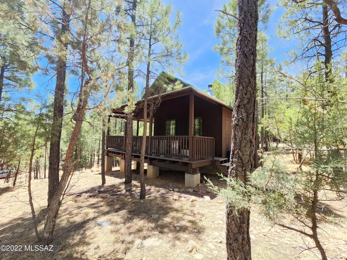 Pinedale, AZ 85934,583 oak Drive