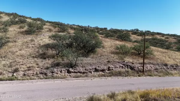 Rio Rico, AZ 85648,600 Paseo Reforma  #71