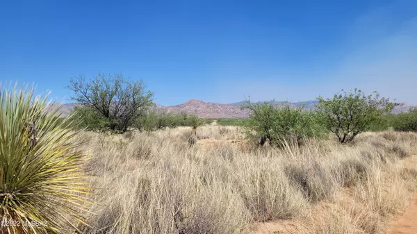 36 +/- ACRE E. De Vaca Road #-, St. David, AZ 85630