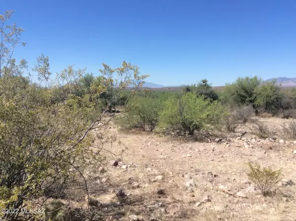 San Manuel, AZ 85631,E Sacaton Lane #lot 11