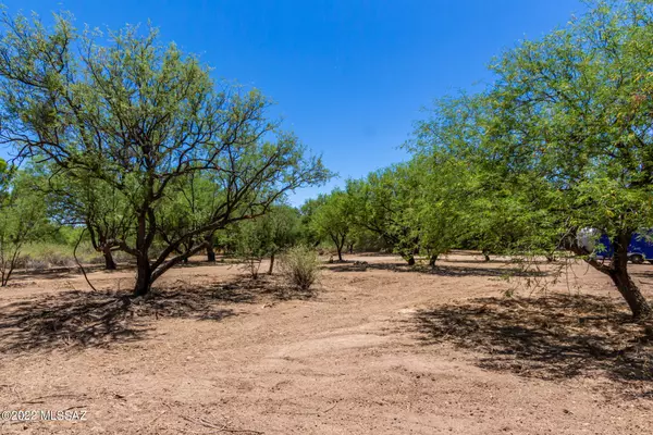 Tubac, AZ 85646,170 Bridge Rd  #13B