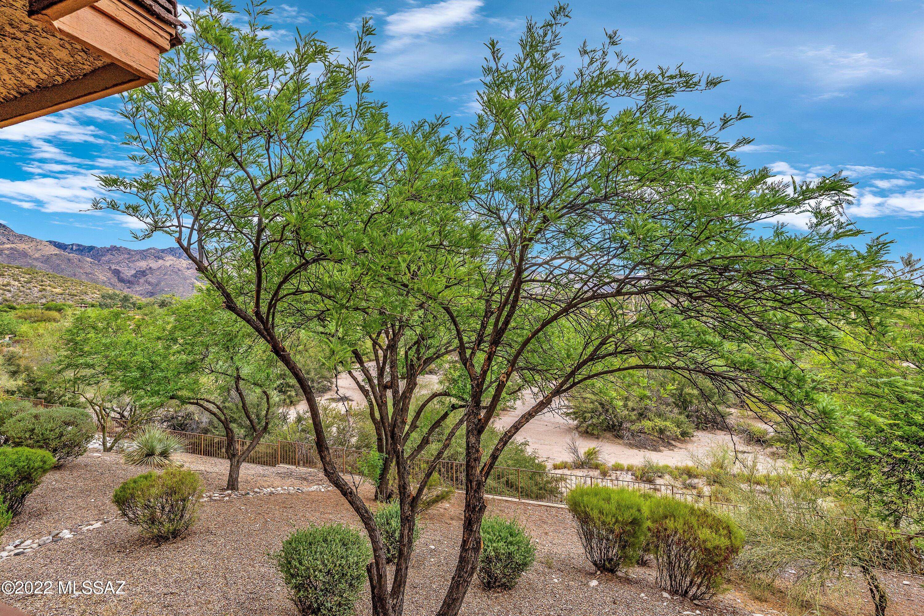 Tucson, AZ 85750,7255 E Snyder Road #4203