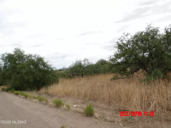 Benson, AZ 85602,2 Lots Oak Drive #2