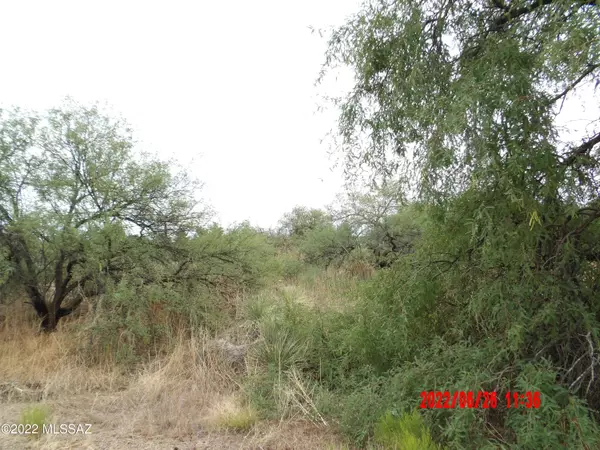 Benson, AZ 85602,2 Lots Oak Drive #2