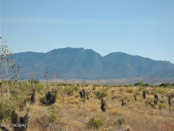 Pearce, AZ 85625,13.43 Acre Windsong Ln  #4