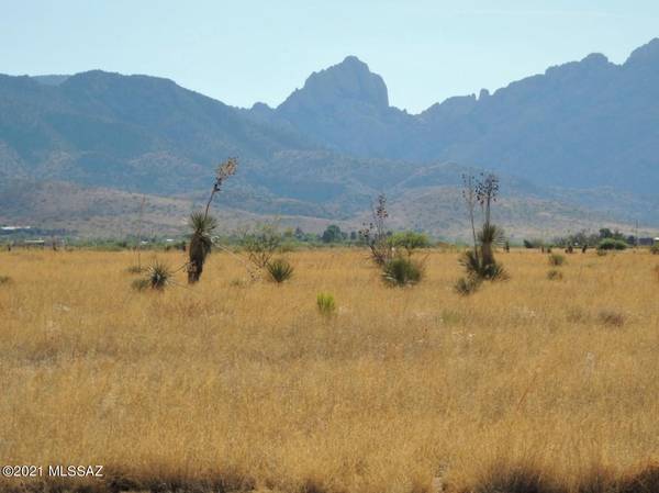 13.43 Acre Windsong Ln  #4, Pearce, AZ 85625