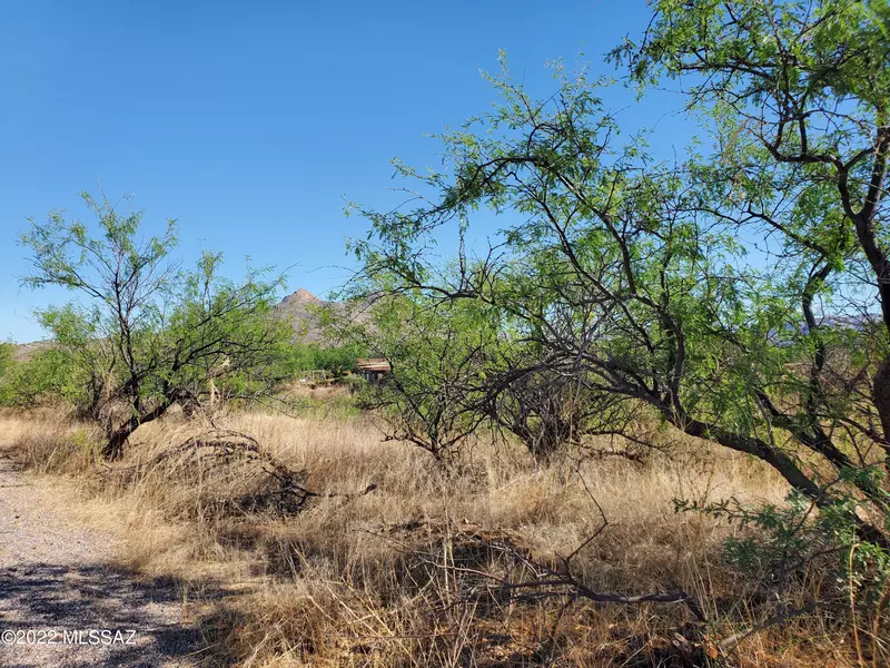 1159 Metate Court #45, Rio Rico, AZ 85648