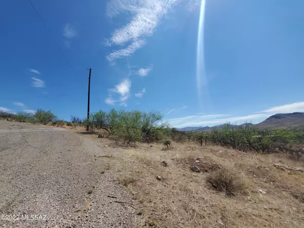 Rio Rico, AZ 85648,1876 Circulo Girasol  #286