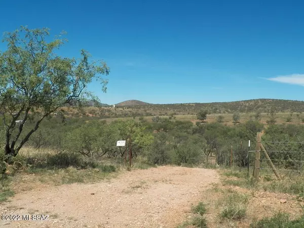 16500 W Arivaca Road #163, Arivaca, AZ 85601