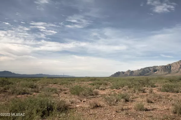 Portal, AZ 85632,30 Acre W Mesquite Lane #Lot 151