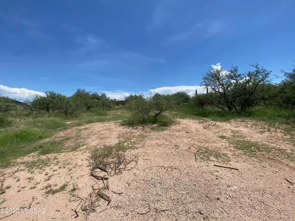 Benson, AZ 85602,TBD Mescal Road #361