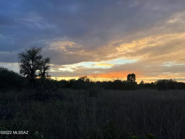 Tubac, AZ 85646,TBD Calle Balderrain  #195