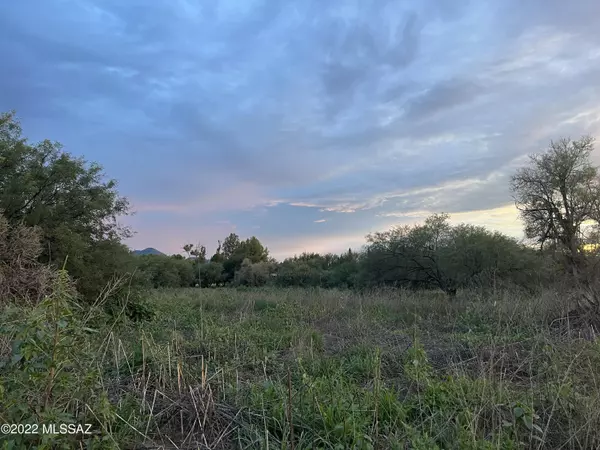 Tubac, AZ 85646,TBD Calle Balderrain #195