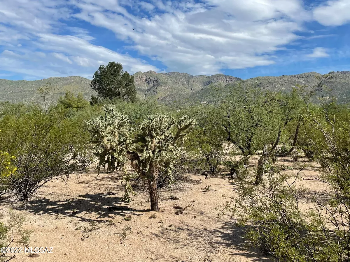 Tucson, AZ 85749,4174 N Soldier Trail