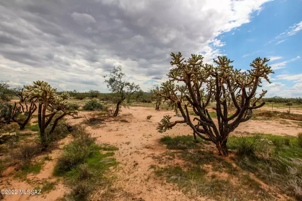 Tucson, AZ 85736,13220 Cortel Road #W