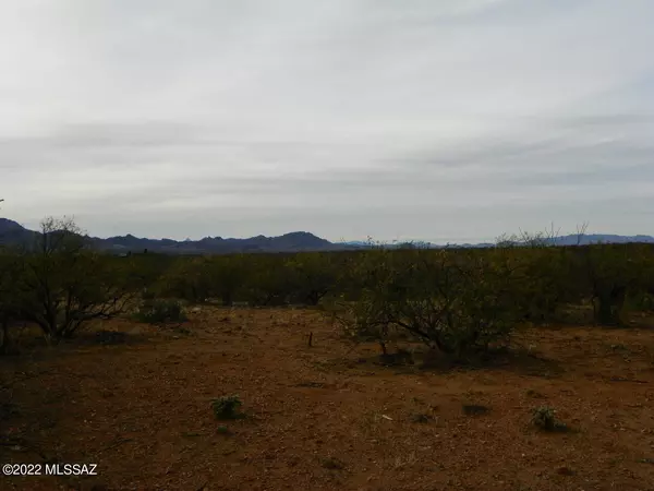 Rio Rico, AZ 85648,316 Camino Josefina  #55