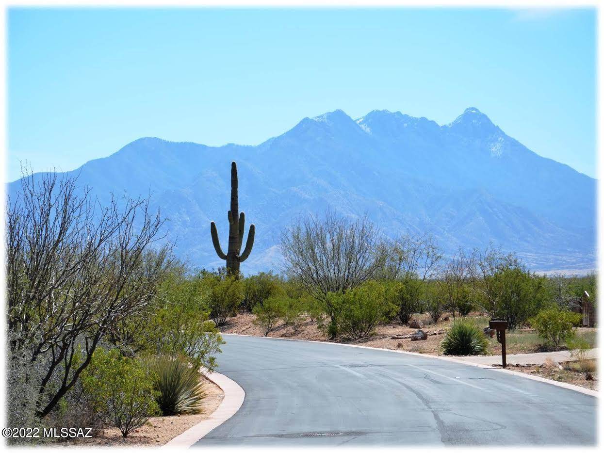 Sahuarita, AZ 85629,172 N Rustic Ridge Place #35