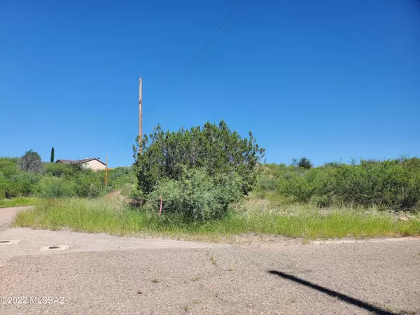 Rio Rico, AZ 85648,238 Paseo Sombrilla  #34